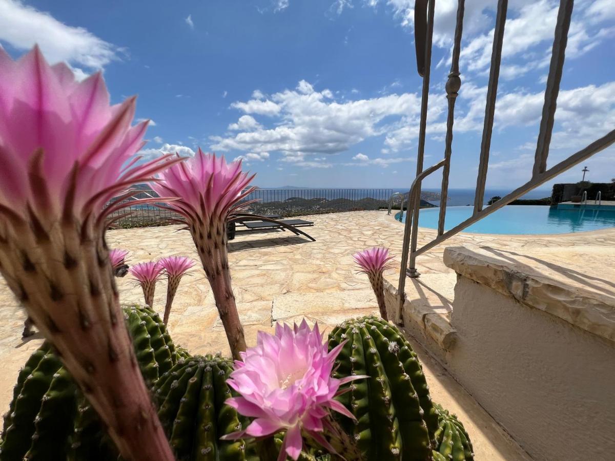 Endless Blue Vila Anavyssos Exterior foto